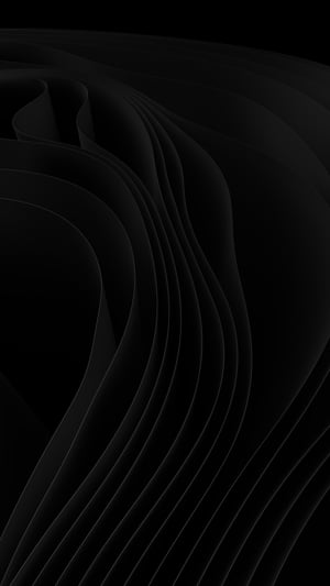 Terms and Conditions